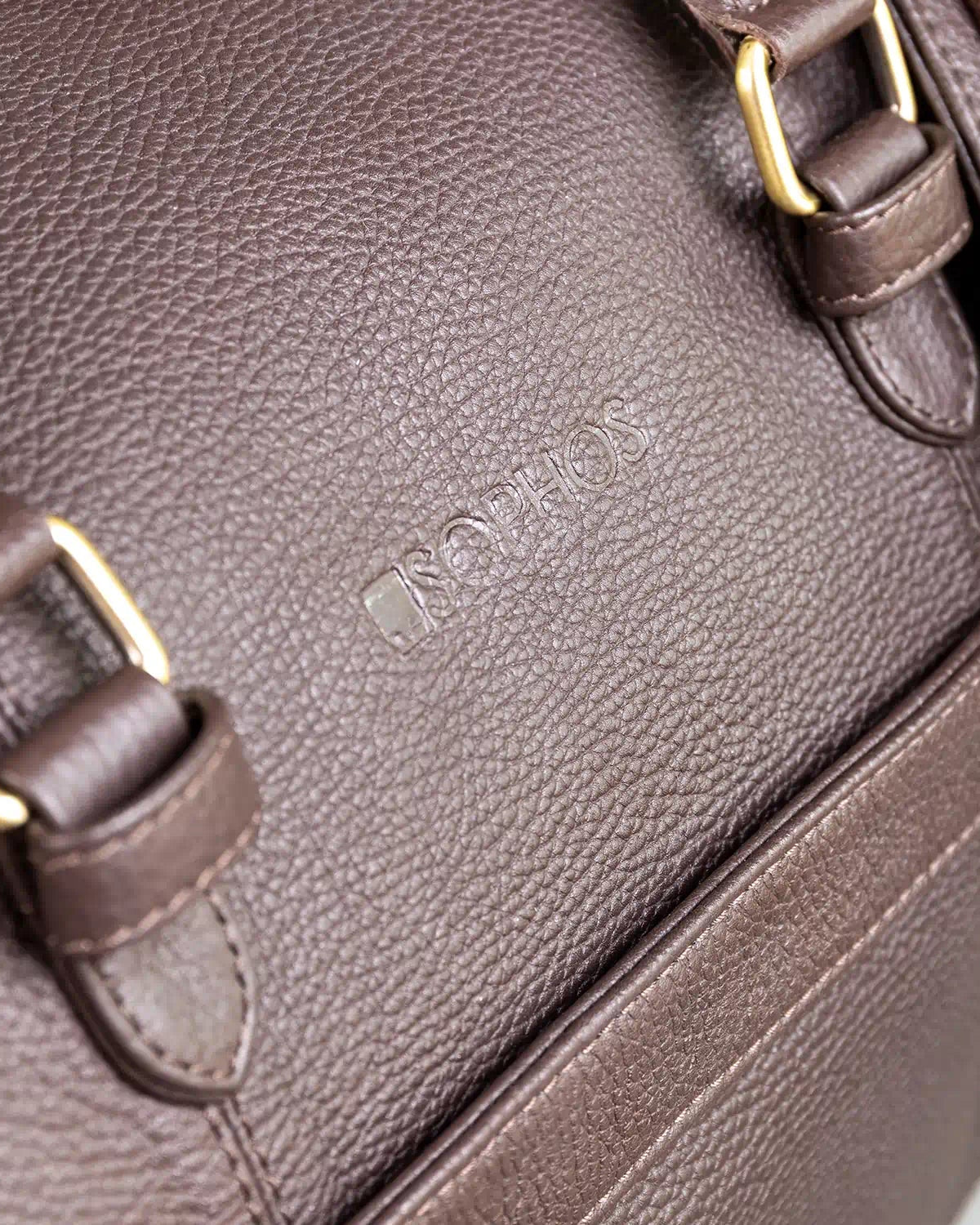 Close-up of a brown leather bag with gold buckles and branding.