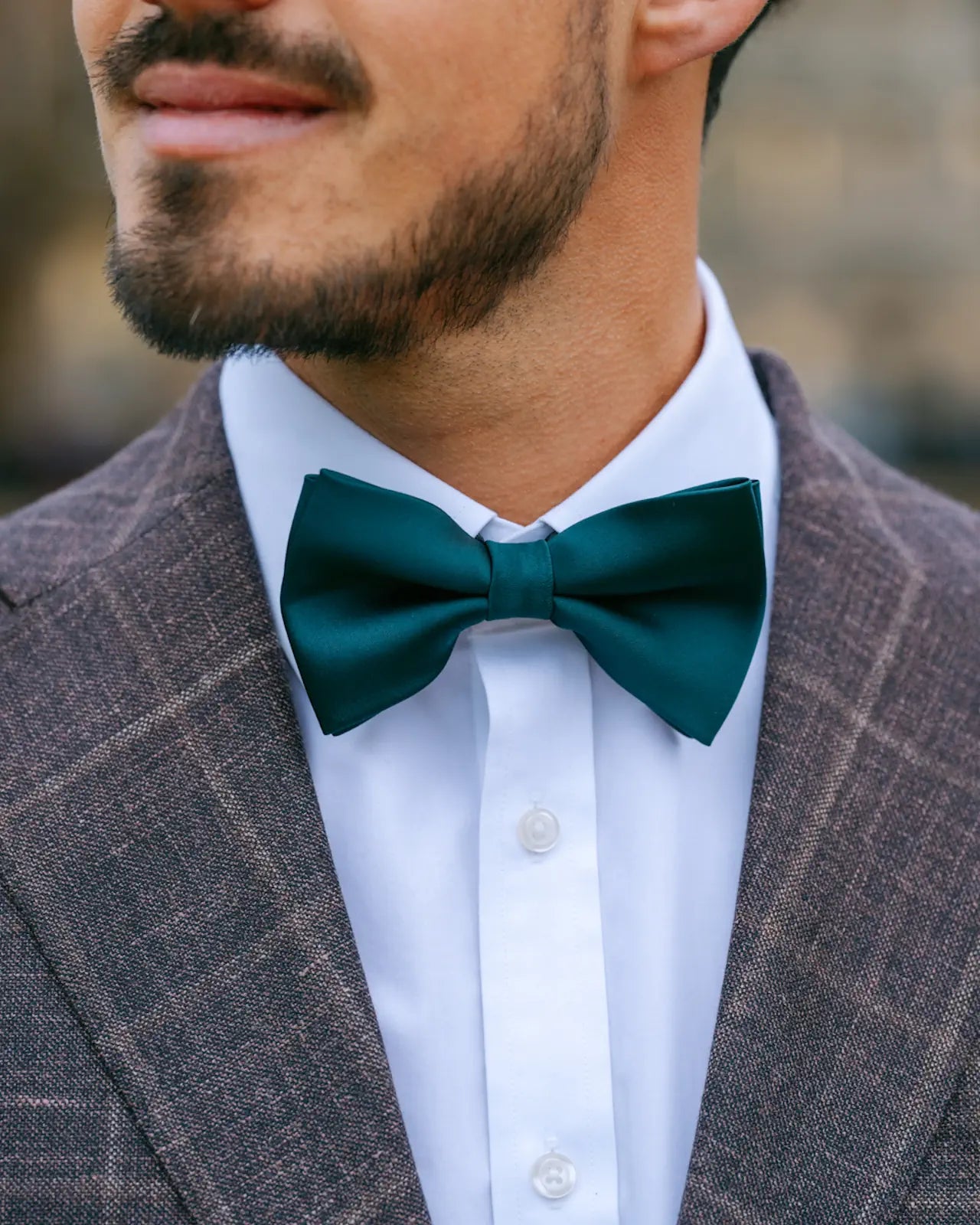 Classic Smooth Bow Tie
