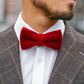 Man wearing a red bow tie with a brown suit and white shirt.